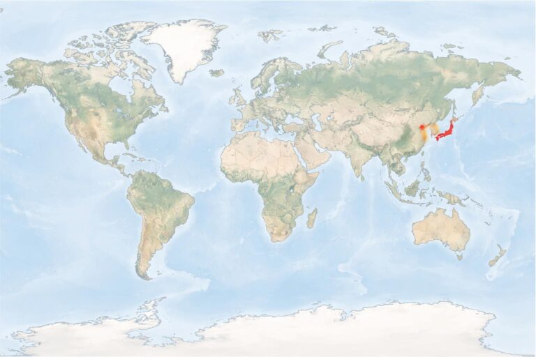 découvrez l'emplacement exact de la corée du sud sur la carte du monde et explorez sa position géographique en asie de l'est.
