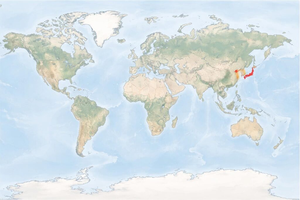découvrez l'emplacement exact de la corée du sud sur la carte du monde et explorez sa position géographique en asie de l'est.