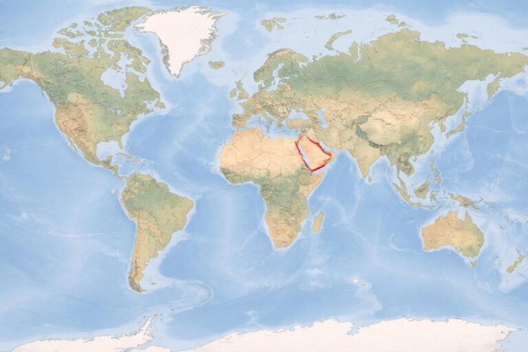 découvrez l'emplacement exact du qatar sur la carte du monde et apprenez-en plus sur ce petit pays du moyen-orient.